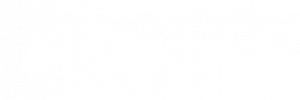 Gold Solution Partner white dynatrace
