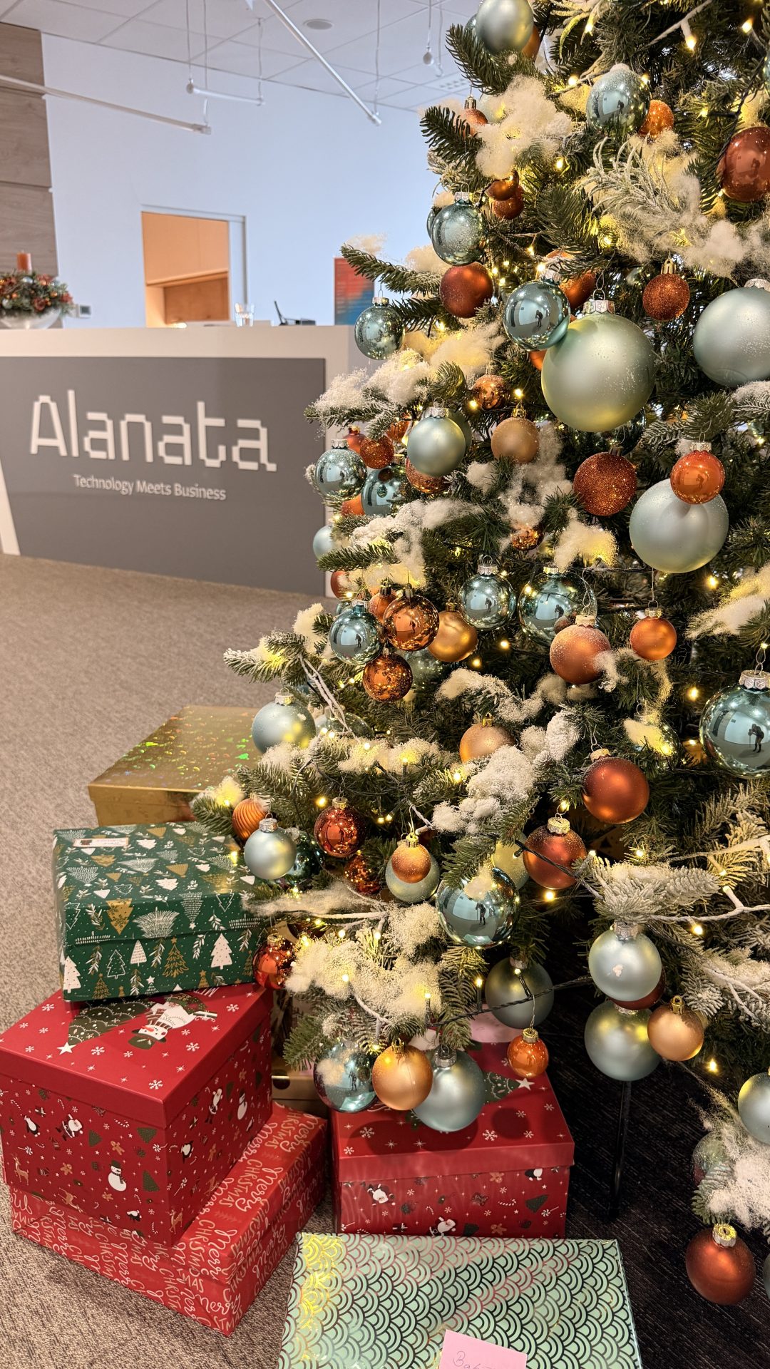 Vianocne aktivity v Alanata