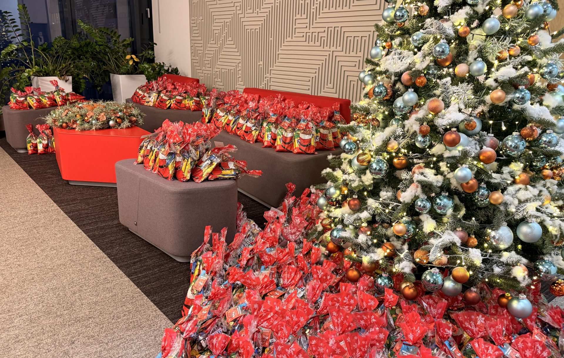 Vianocne aktivity v Alanata